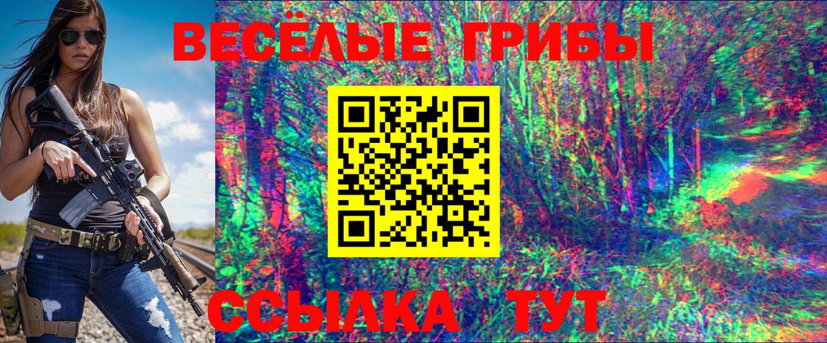 Надым  Псилоцибиновые грибы Cubensis  Вход с VPN 